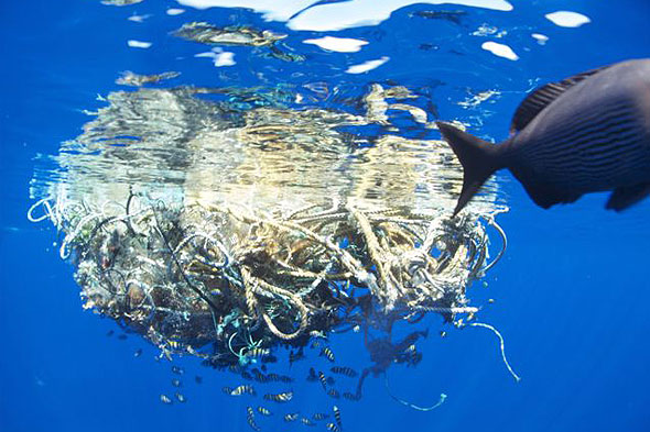 Marine debris